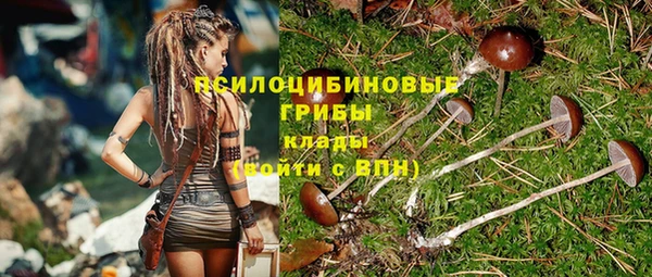 spice Коряжма