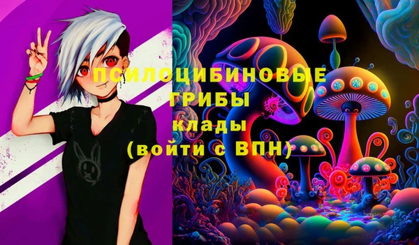 гашиш Осинники